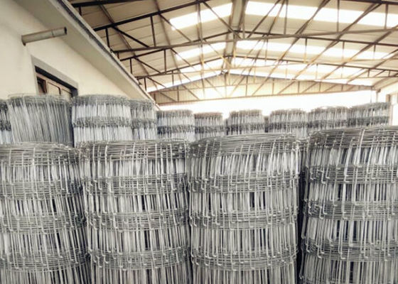 Cerca de fio fixa da pastagem da dobradiça, Mesh Wire Fencing galvanizado 2.5mm