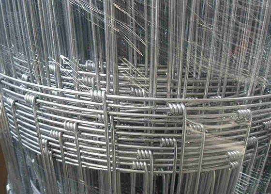 O gado galvanizou o cerco do diâmetro da malha 2mm largura de 0.4m - de 1.8m