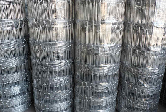 a exploração agrícola de 50m galvanizou o campo de aço que cerca, galvanizou o fio Mesh Fencing