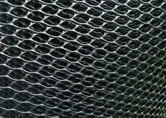 Polipropileno expulso Mesh Netting Hexagonal Hole plástico 25g/m2 - 300g/m2